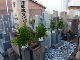 img0005.jpg
