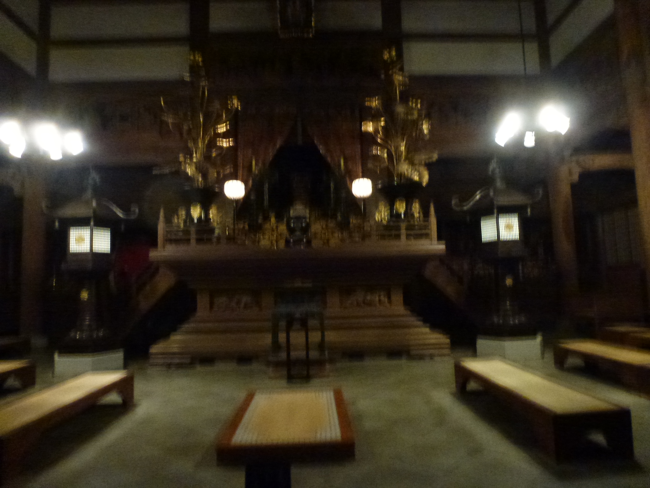 P1080744.JPG