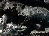 img0010.jpg