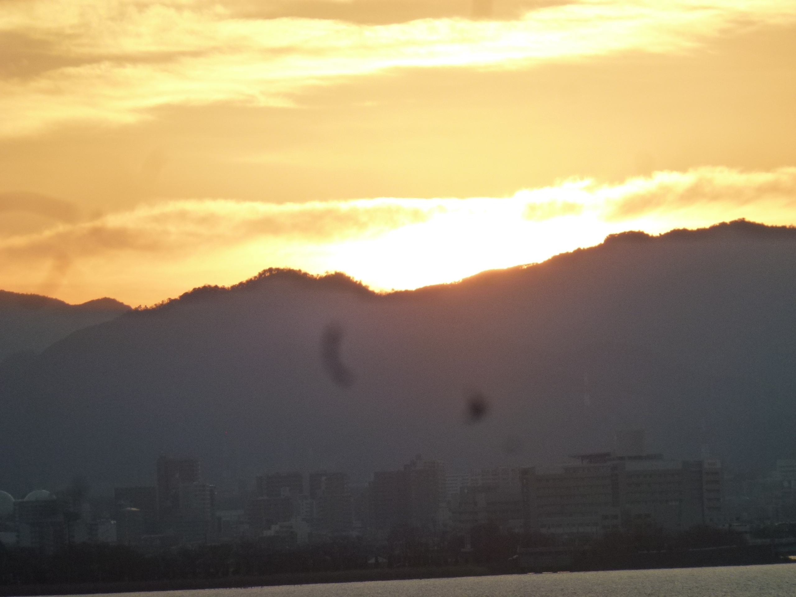 P1080813.JPG