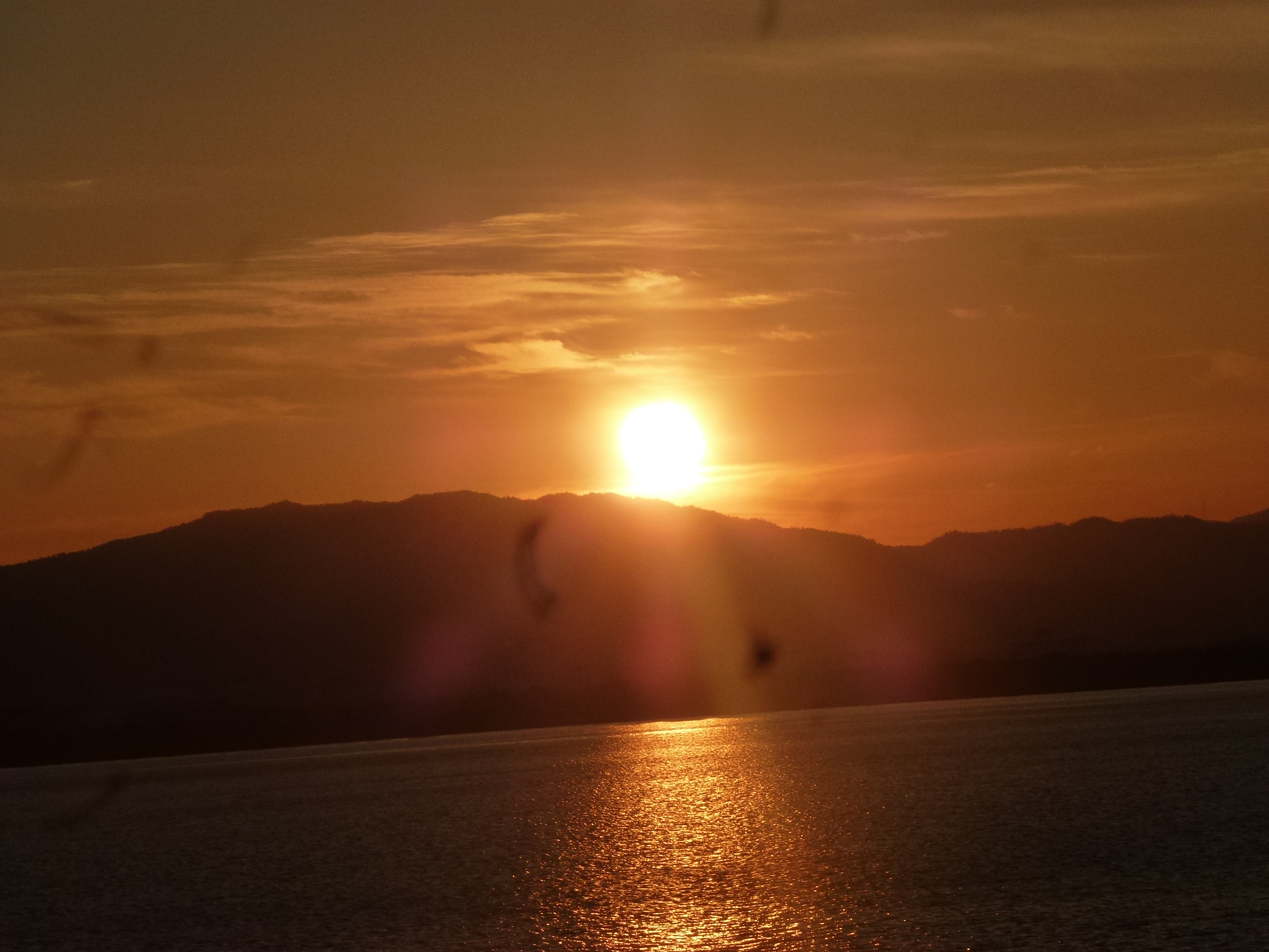 P1080869.JPG