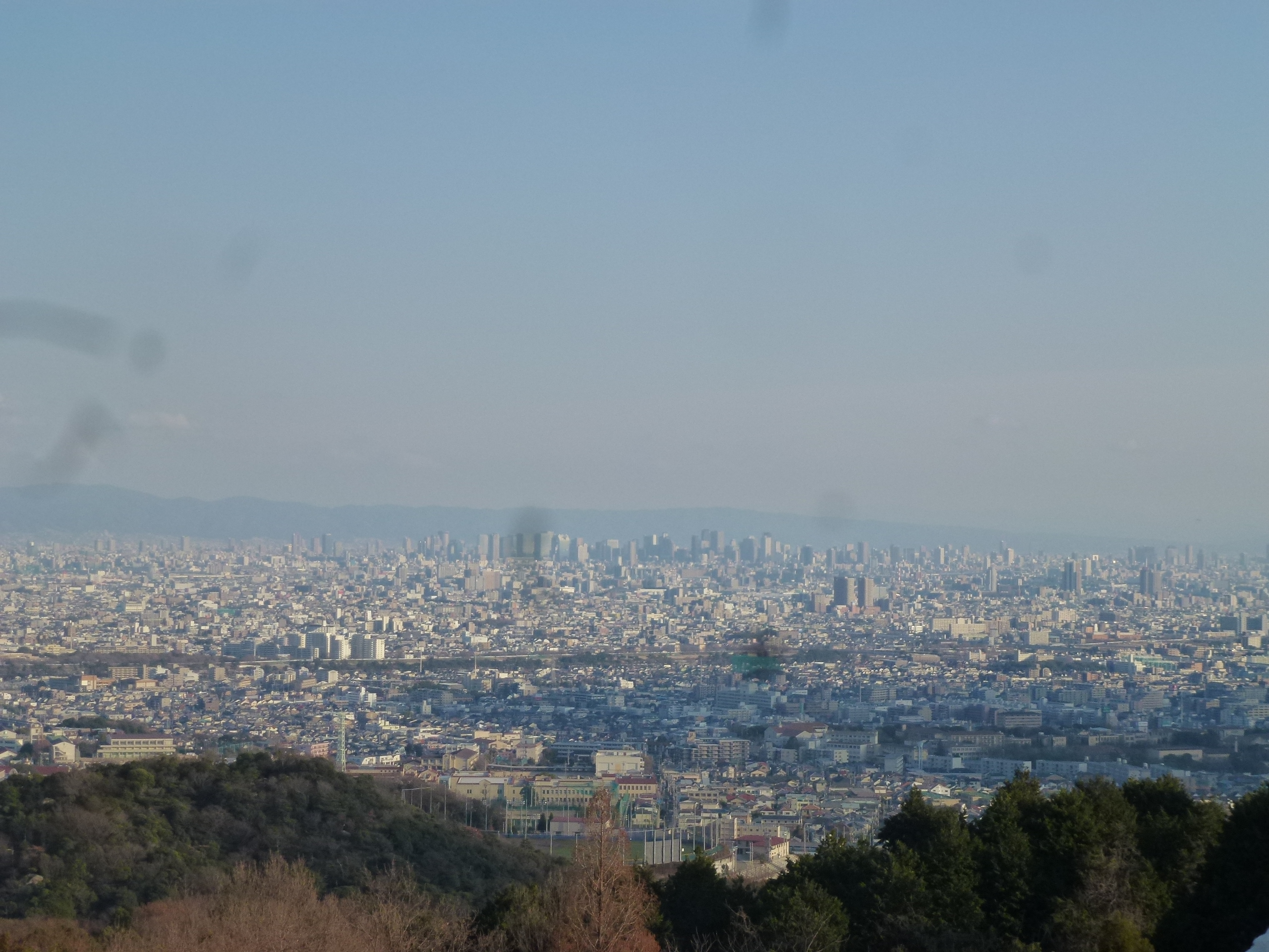 P1080912.JPG