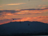 img0010.jpg