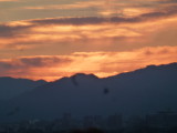 img0011.jpg