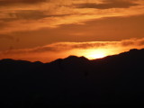 img0041.jpg