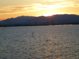 img0047.jpg