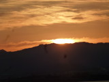 img0053.jpg