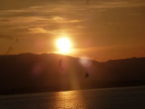 img0105.jpg