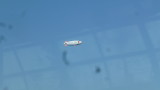 img0131.jpg