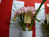 img0000.jpg