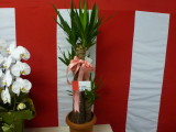 img0002.jpg