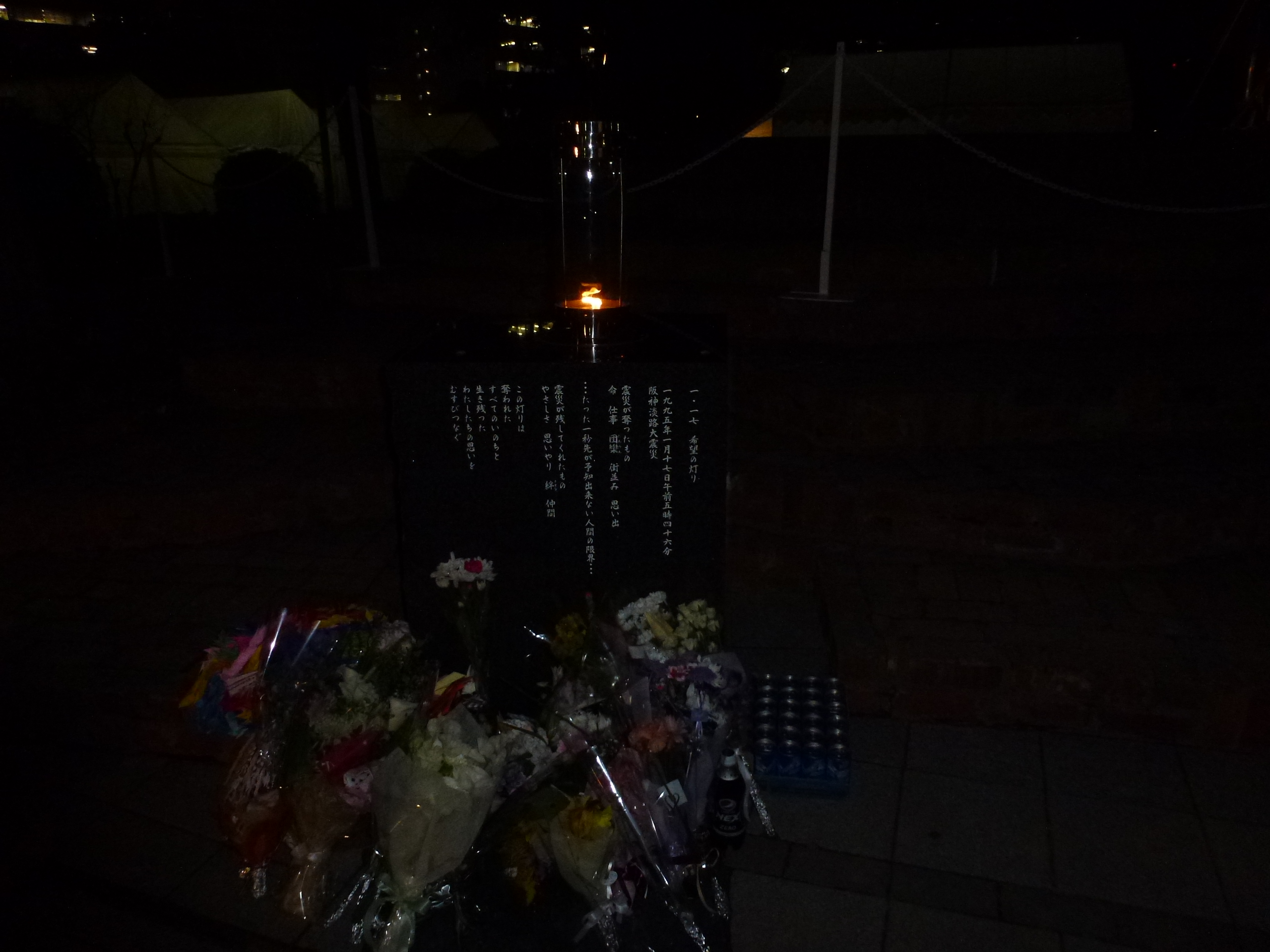 P1090003.JPG