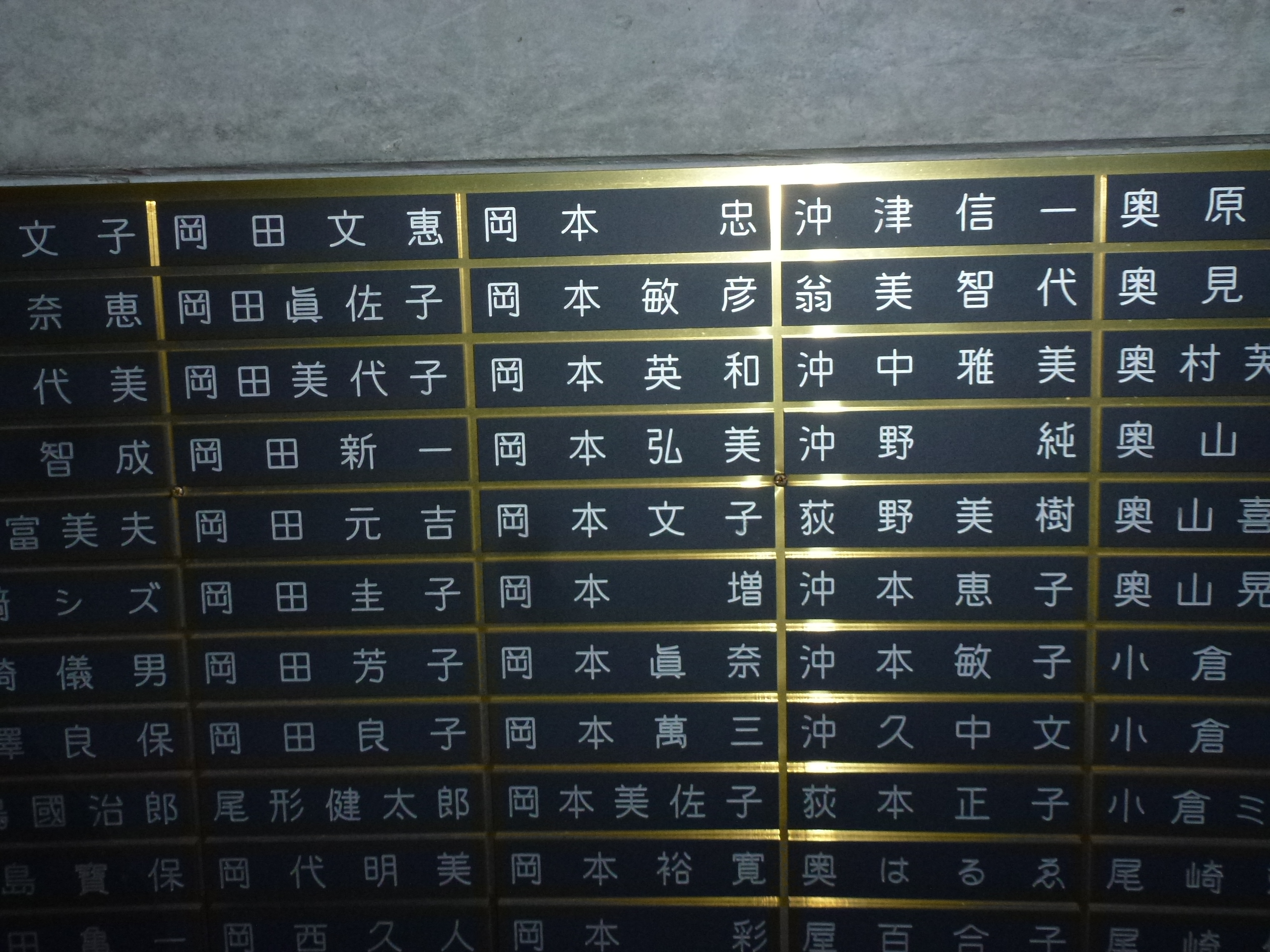 P1090006.JPG