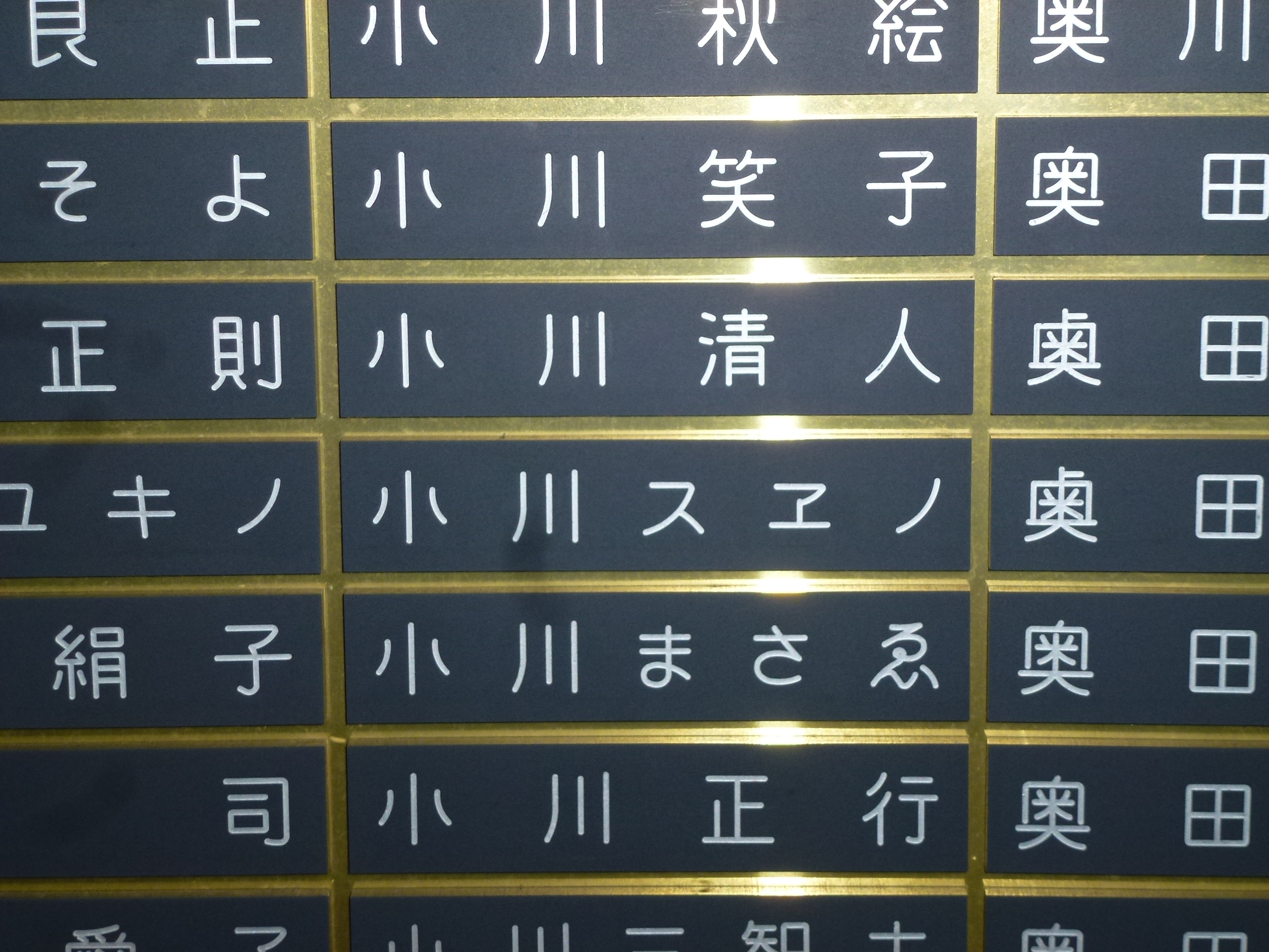 P1090007.JPG