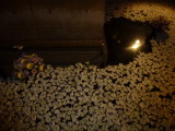 img0018.jpg