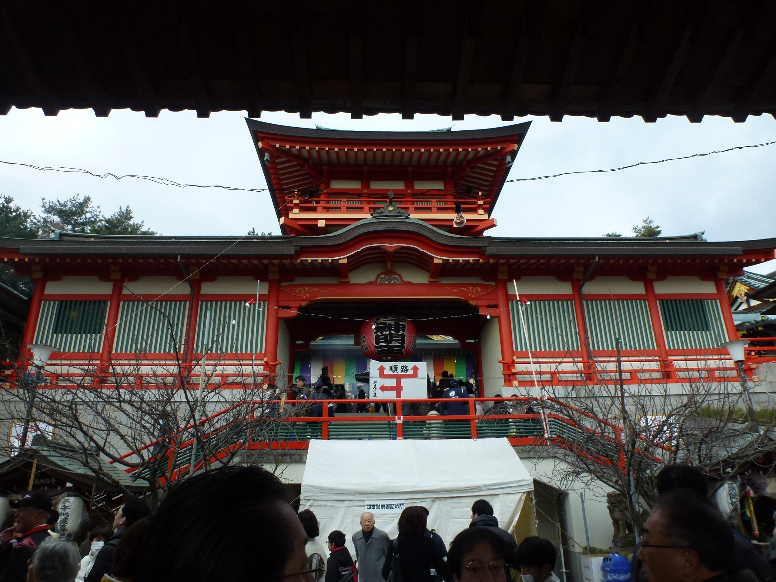 P1090147.JPG