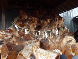 img0002.jpg