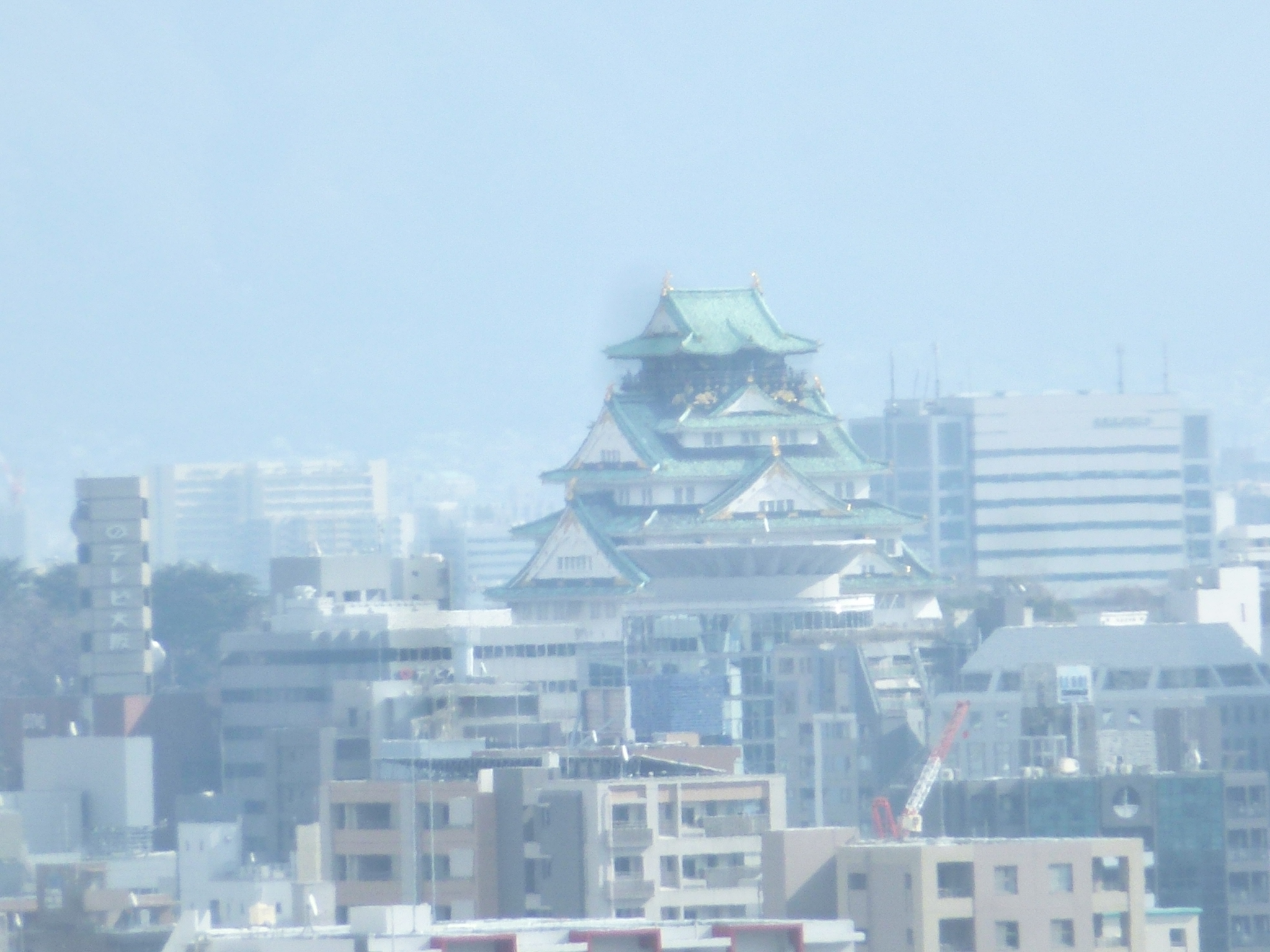 P1090185.JPG