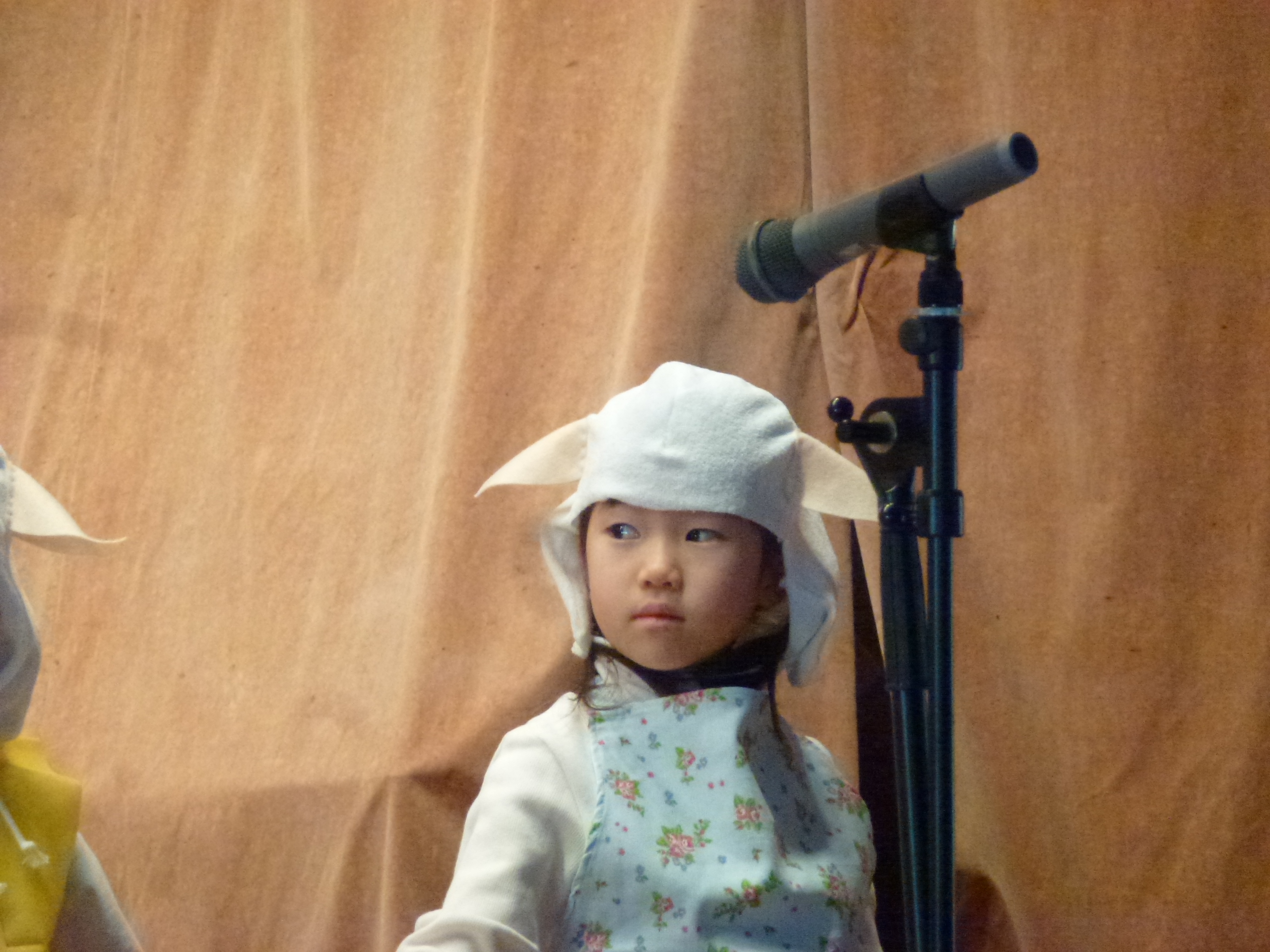 P1090344.JPG