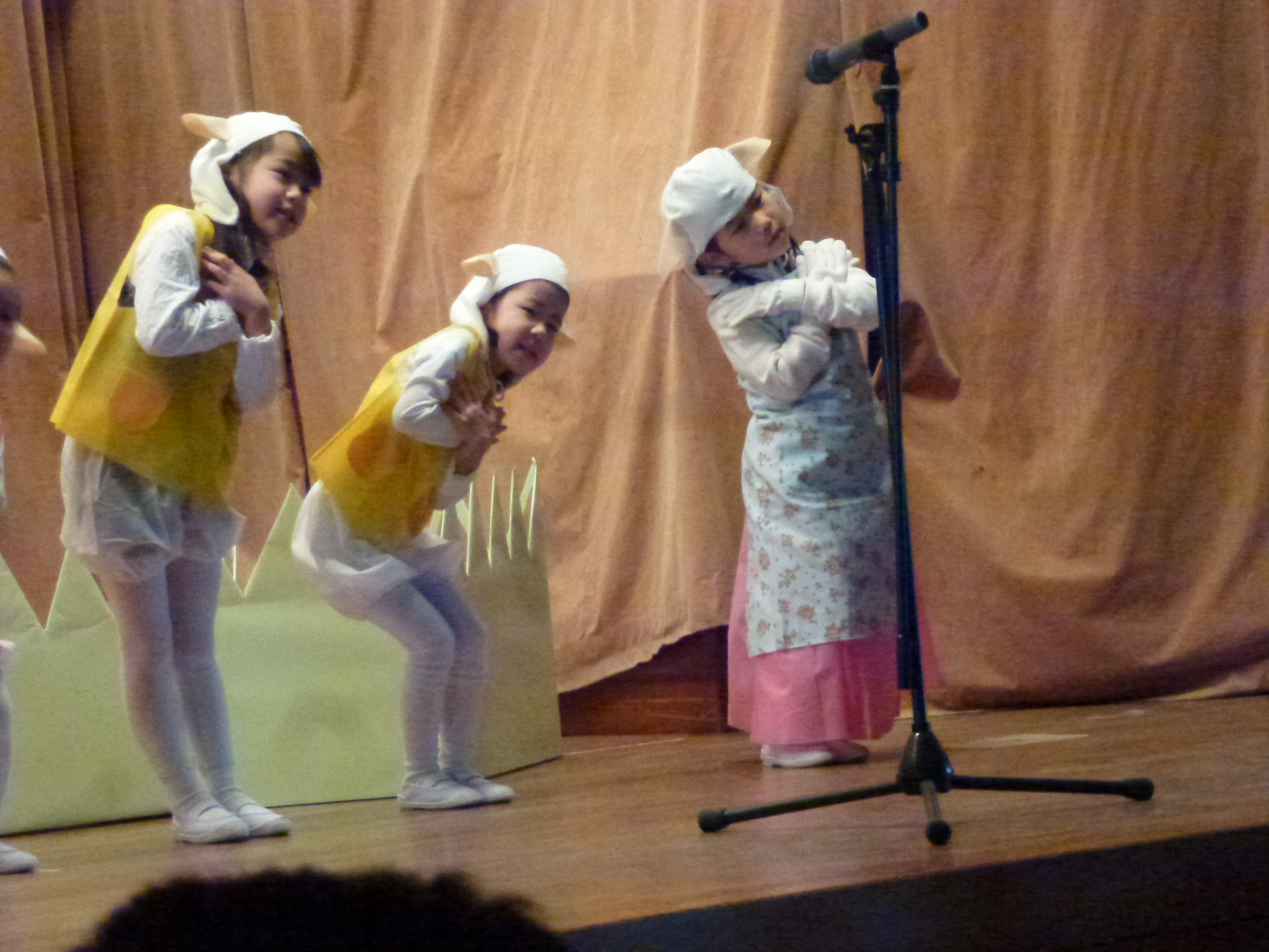 P1090347.JPG