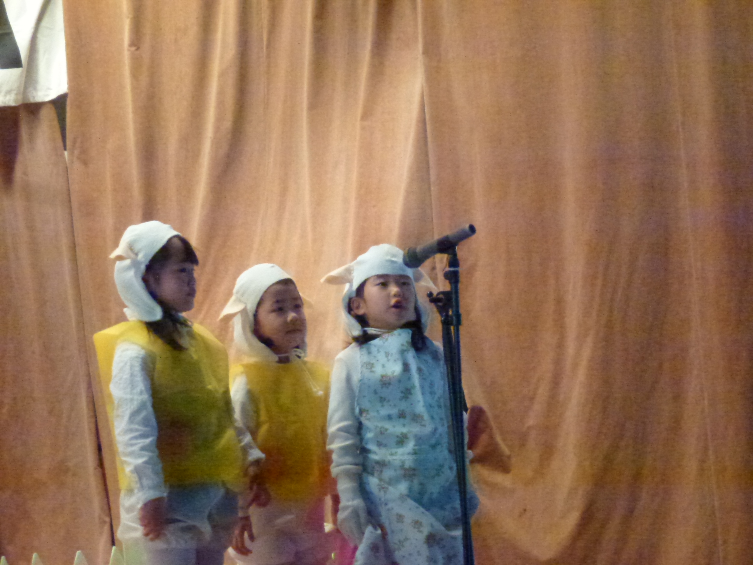 P1090371.JPG