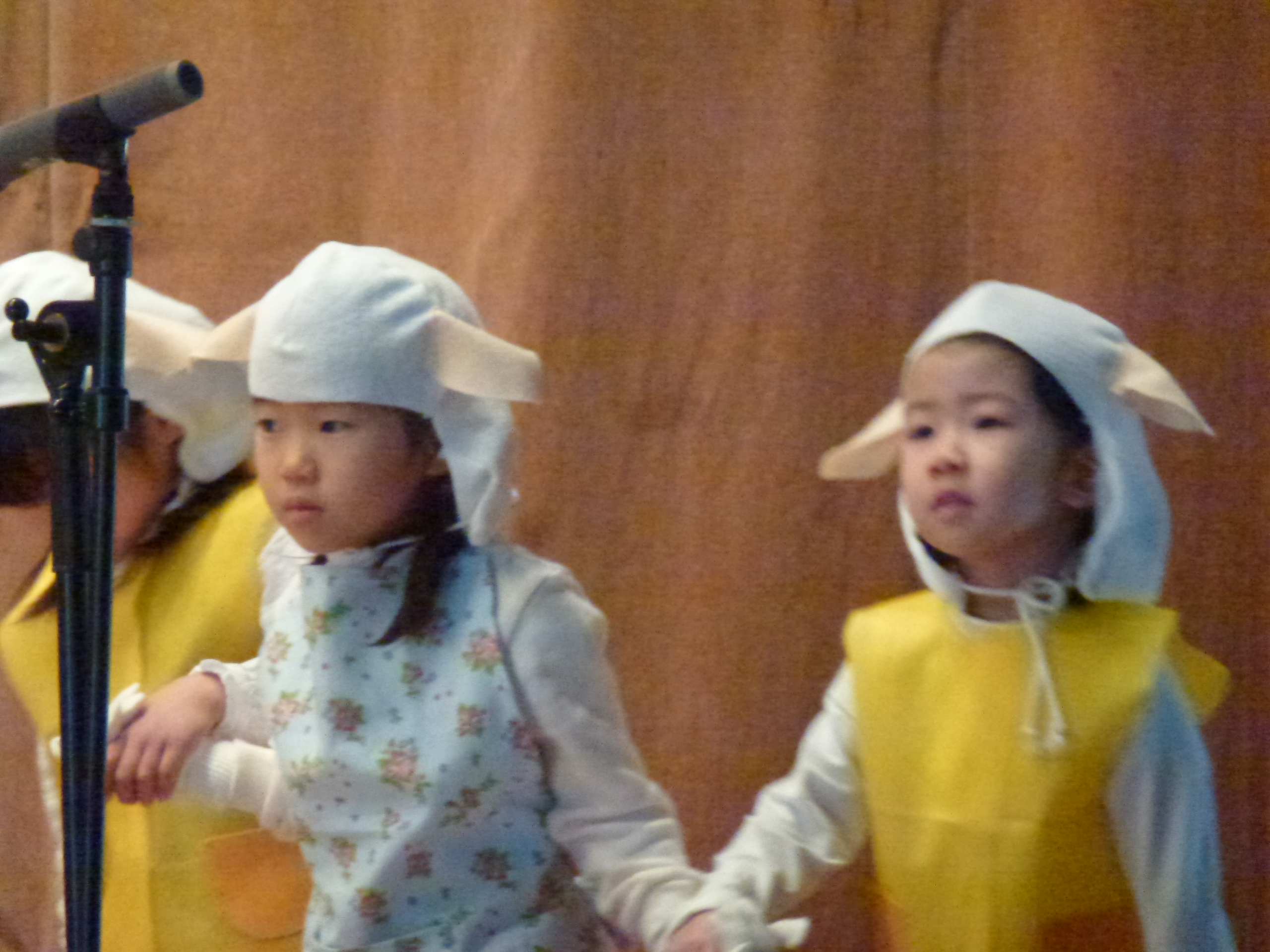 P1090373.JPG