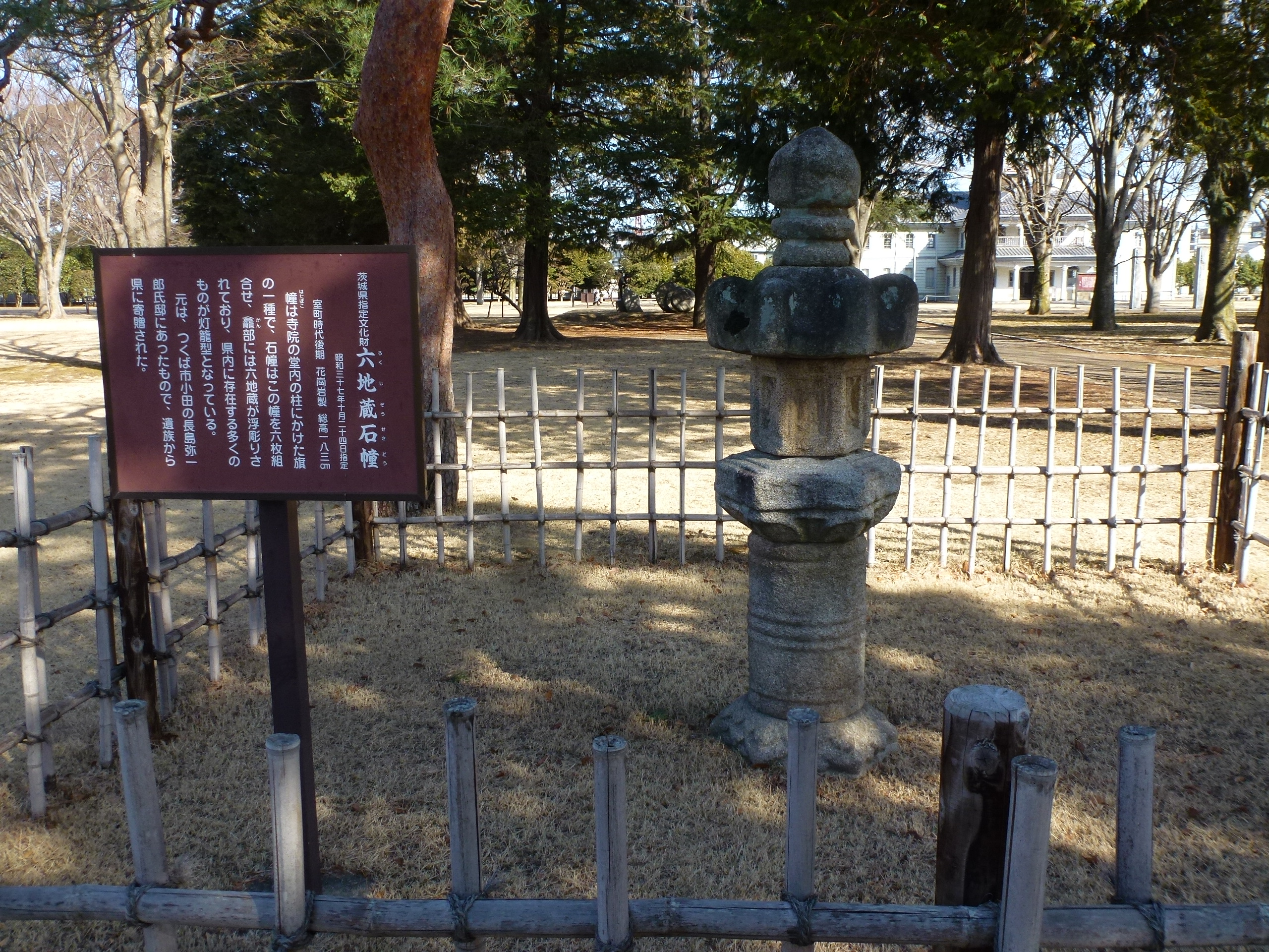 P1090428.JPG