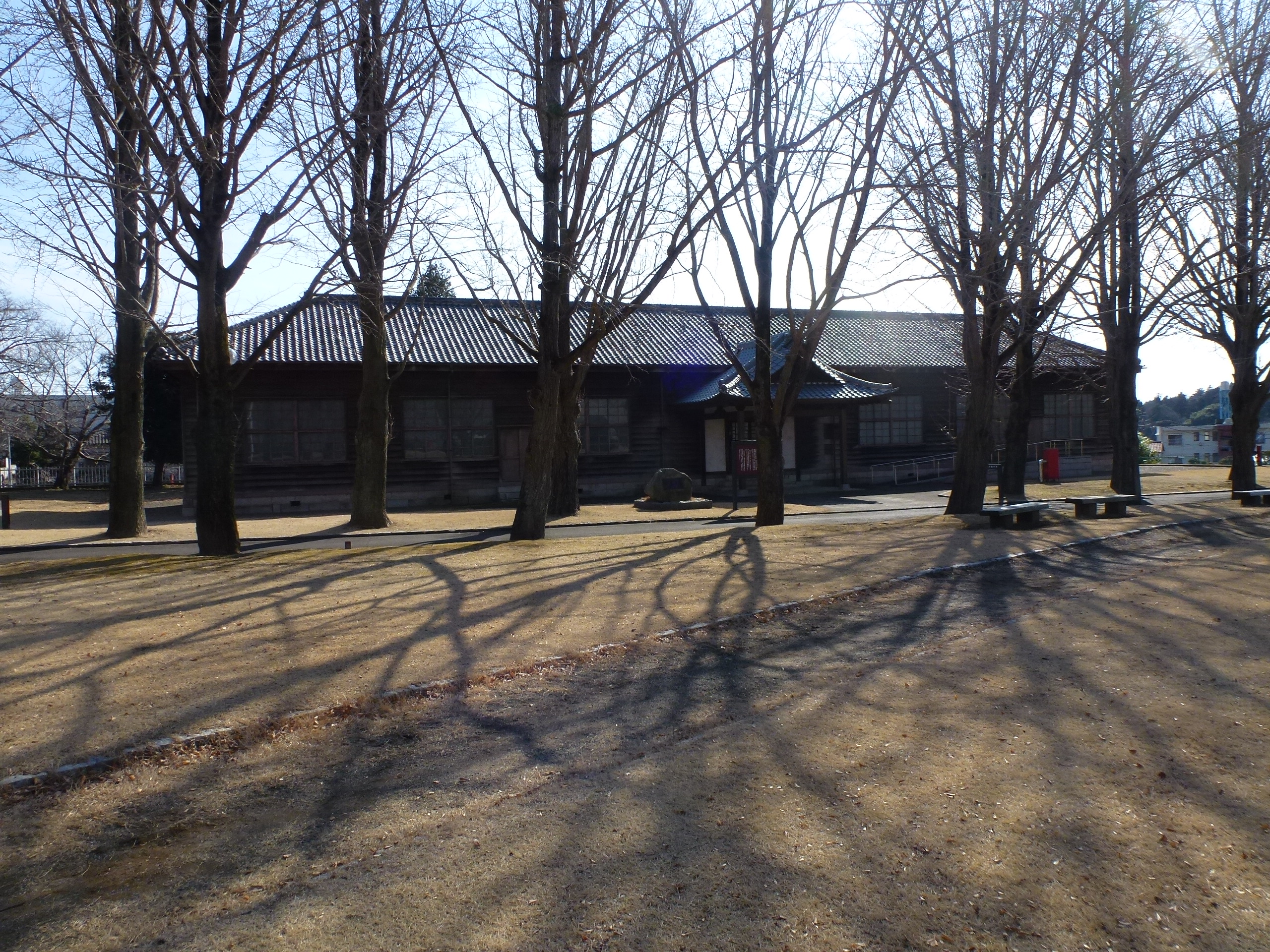 P1090429.JPG