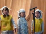 img0150.jpg