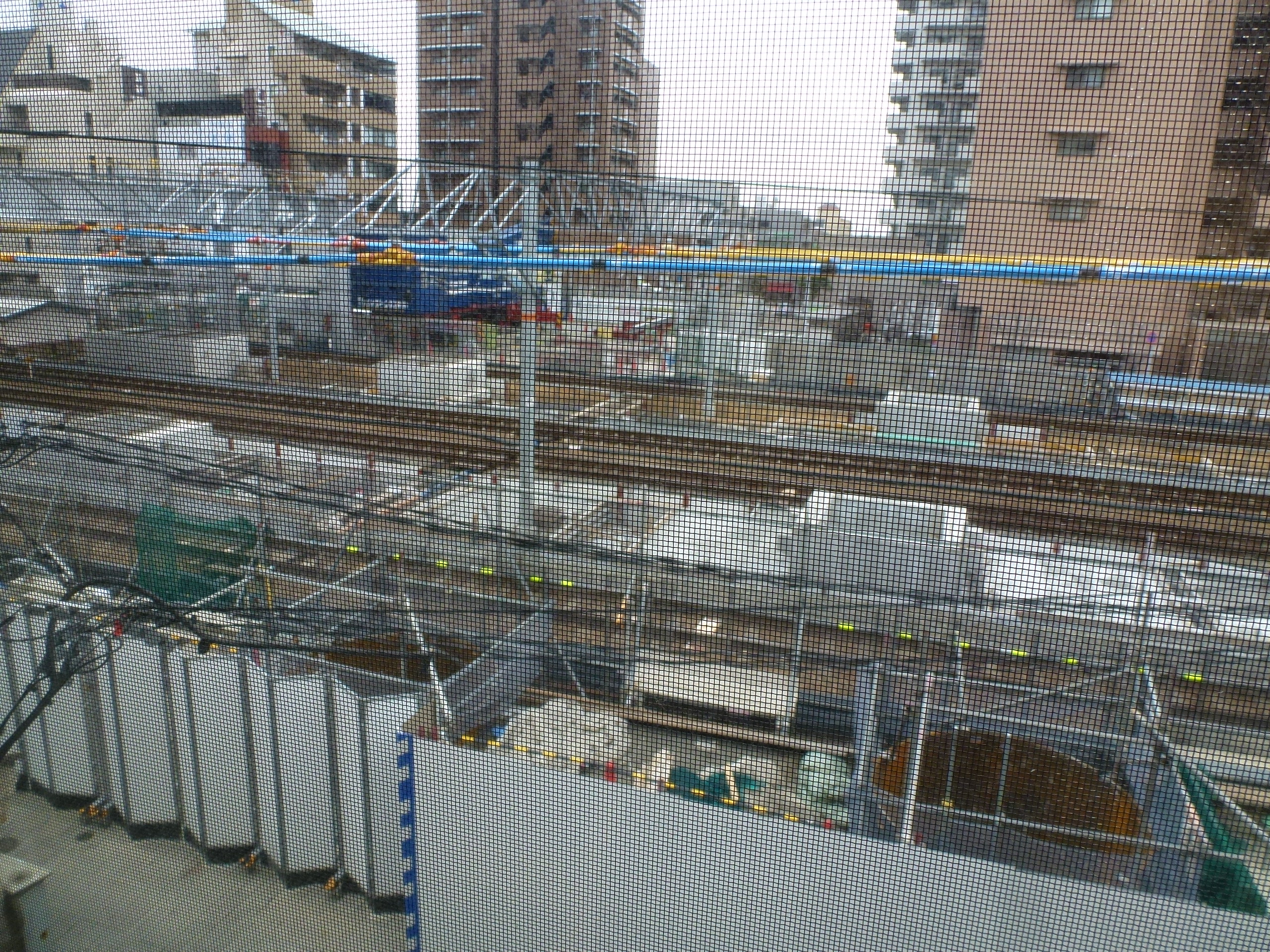 P1090557.JPG