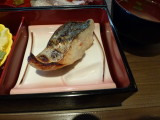 img0009.jpg