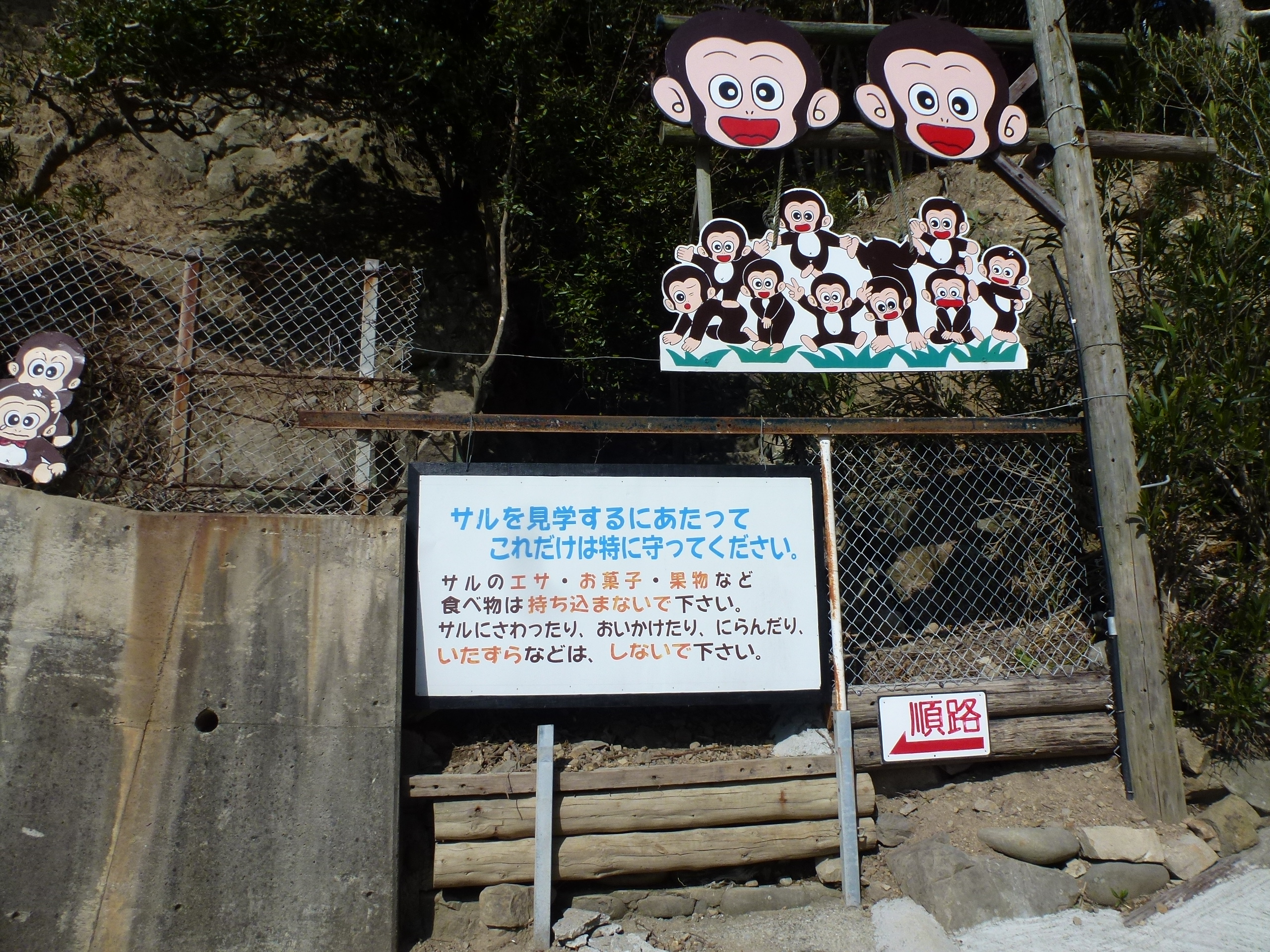 P1090591.JPG