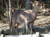 img0005.jpg
