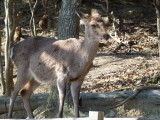 img0006.jpg