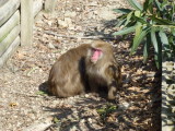 img0007.jpg