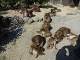 img0010.jpg