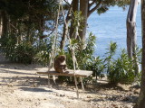 img0011.jpg