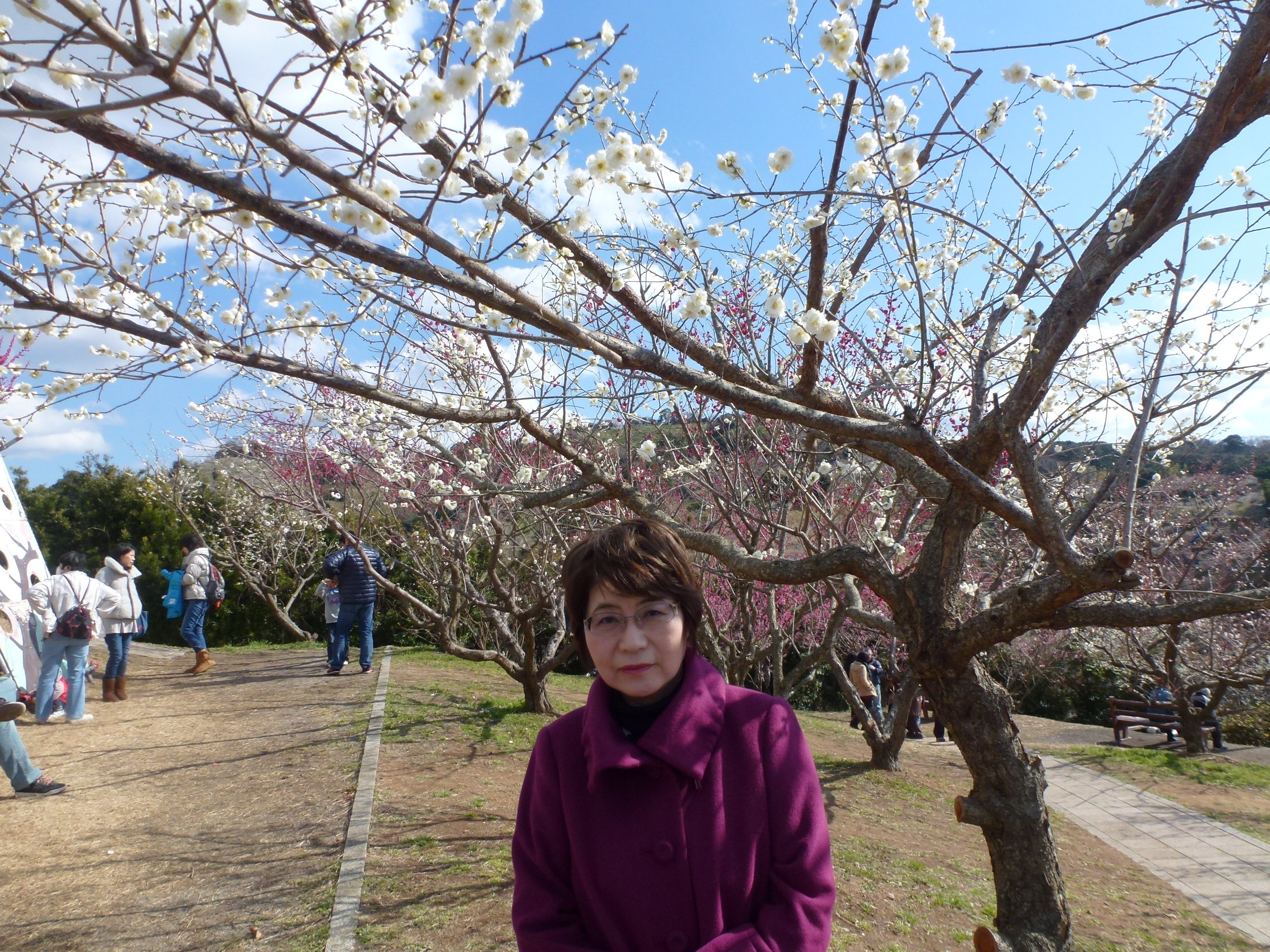 P1090655.JPG