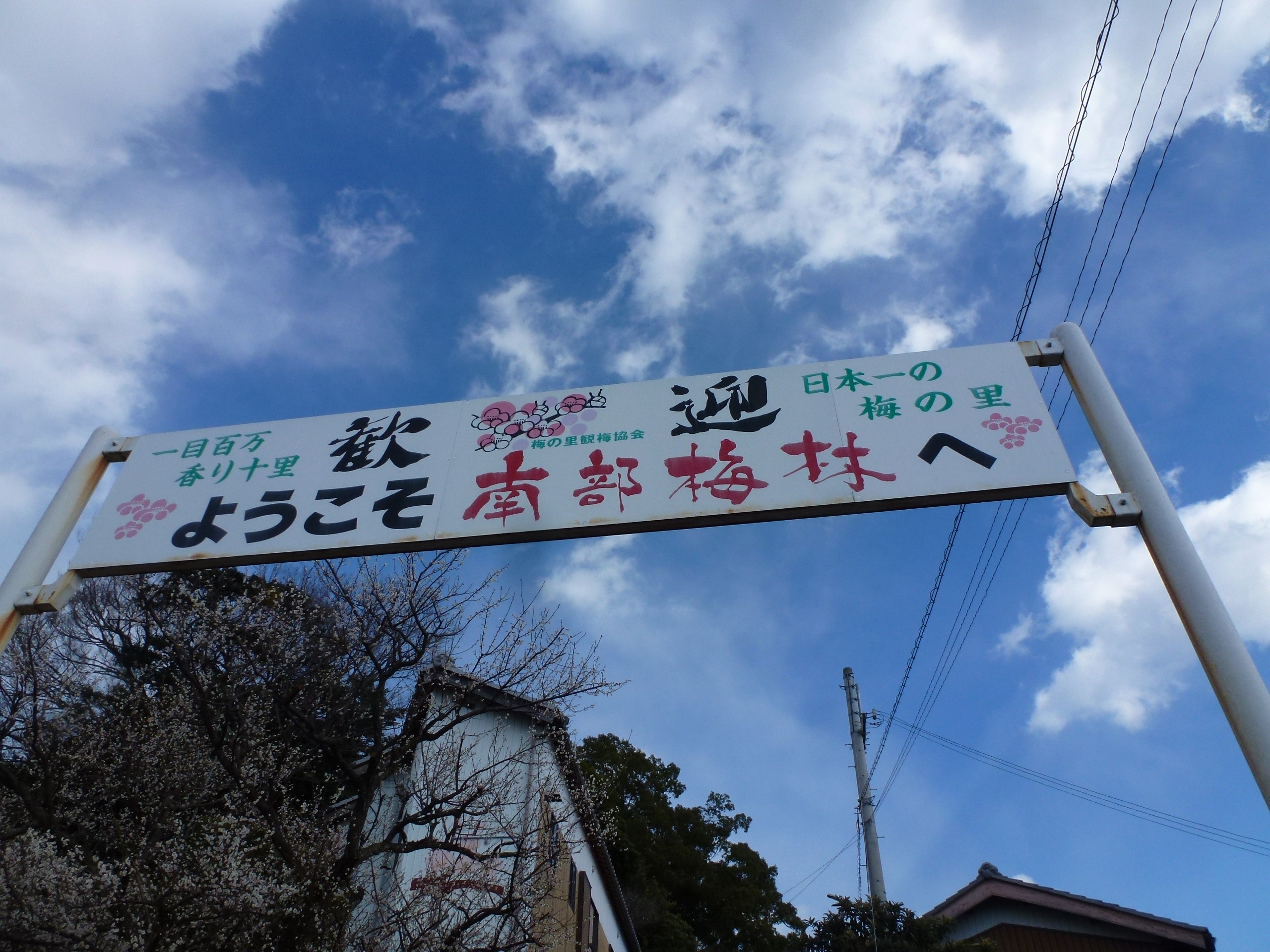 P1090662.JPG