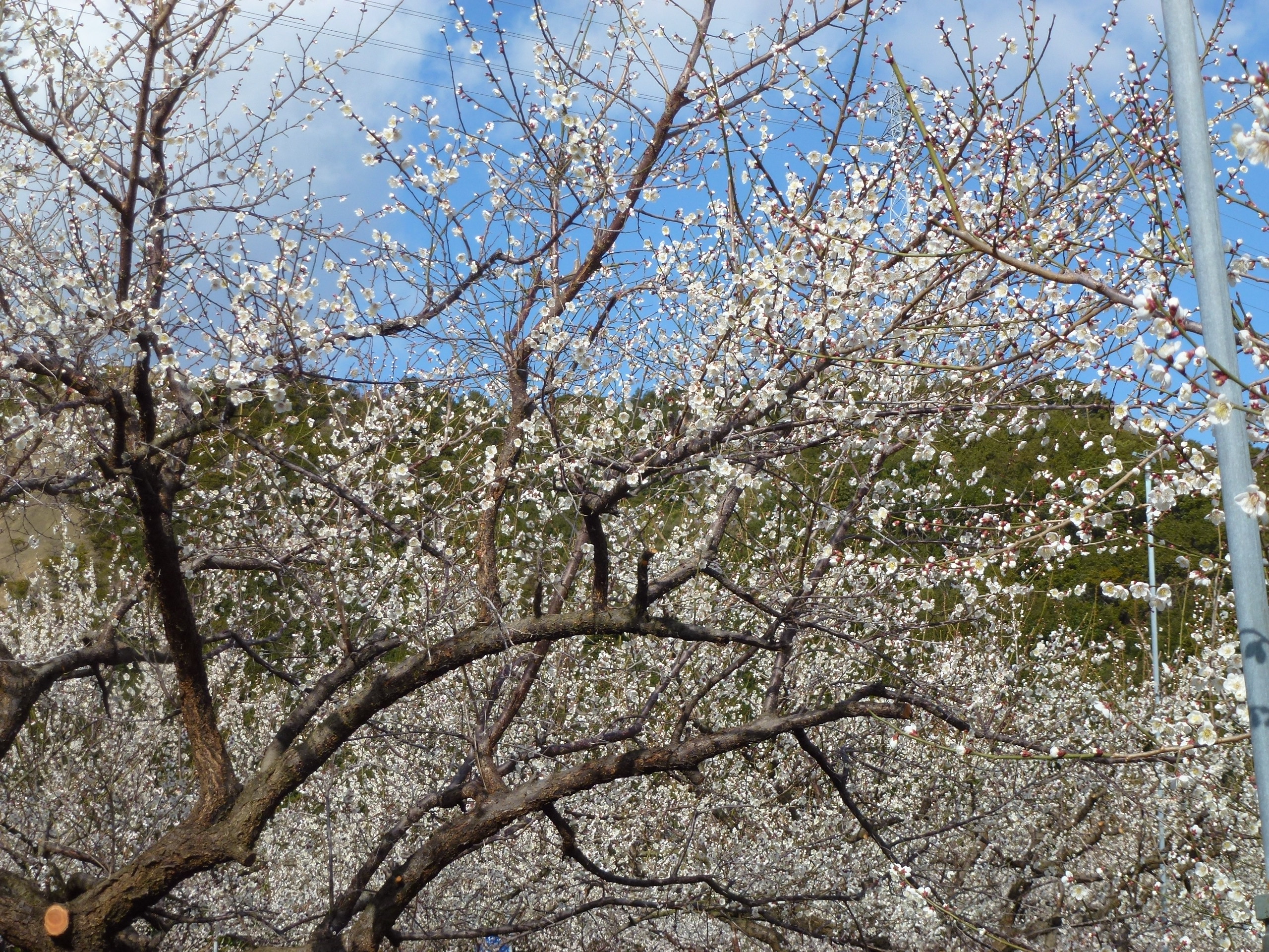P1090670.JPG