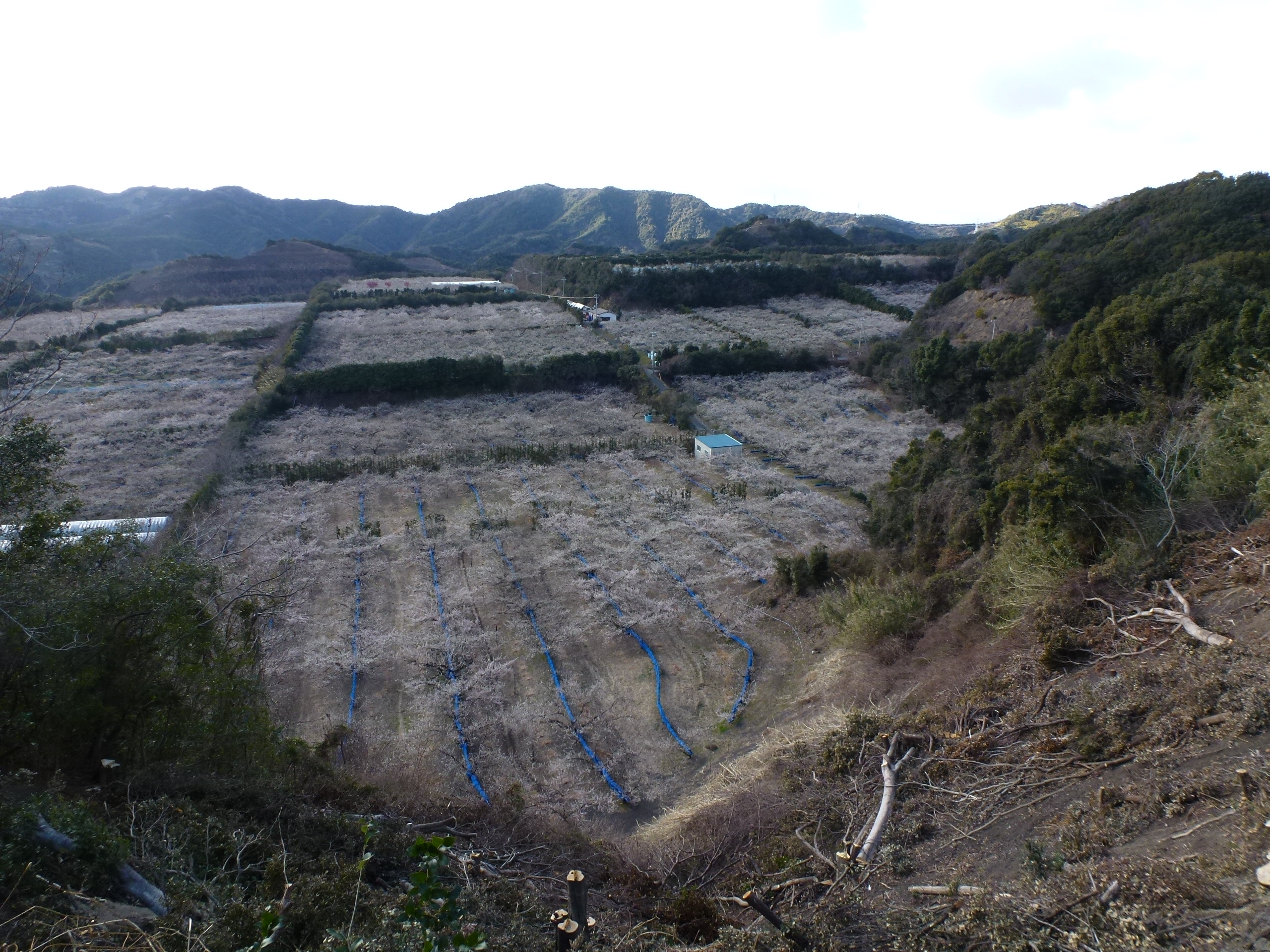 P1090672.JPG