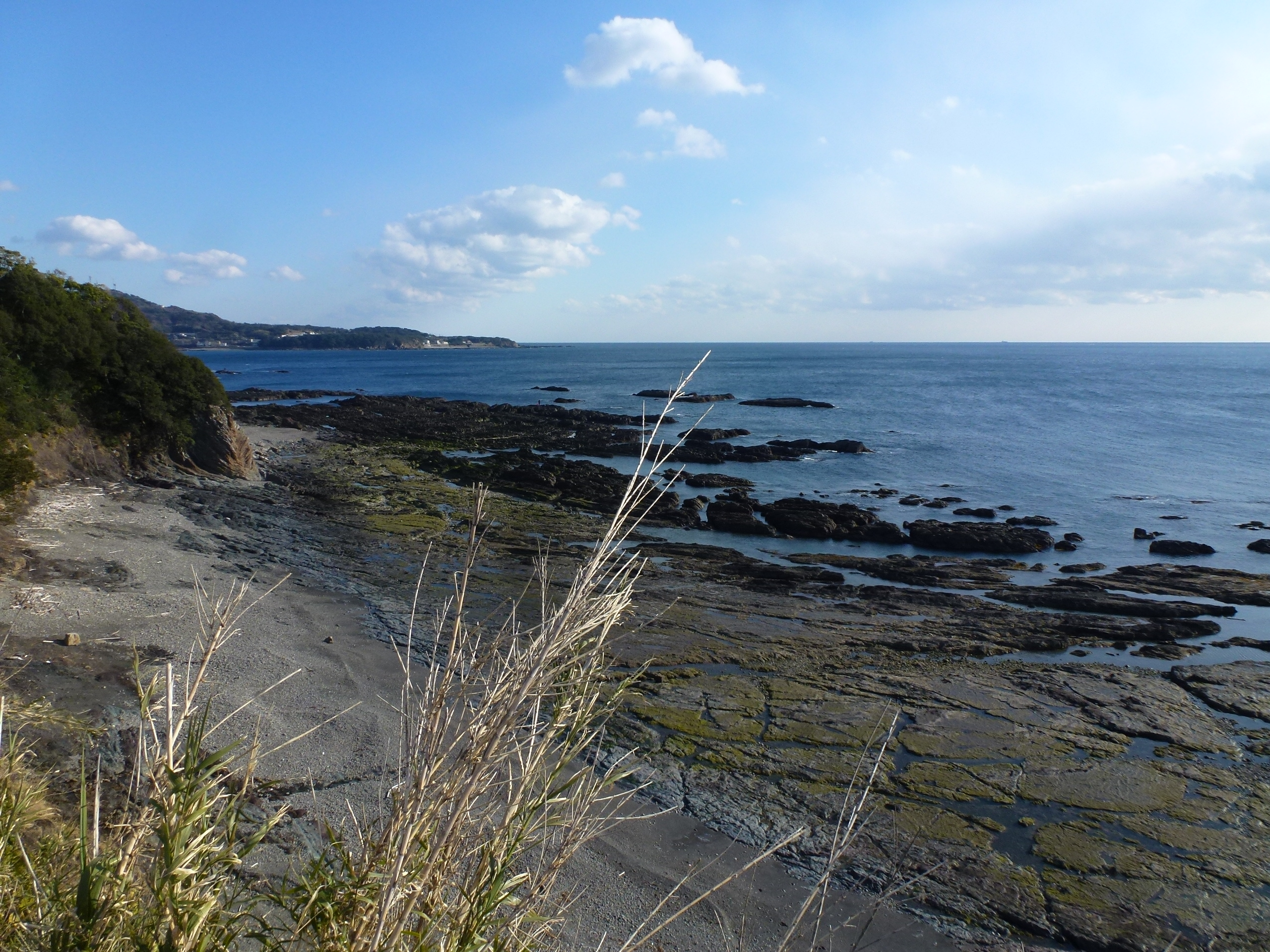 P1090676.JPG