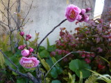img0000.jpg