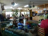 img0010.jpg