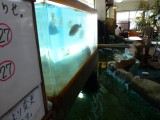 img0011.jpg