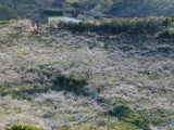 img0013.jpg