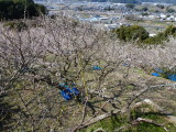 img0015.jpg