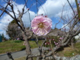img0017.jpg