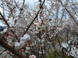 img0028.jpg