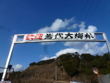 img0029.jpg
